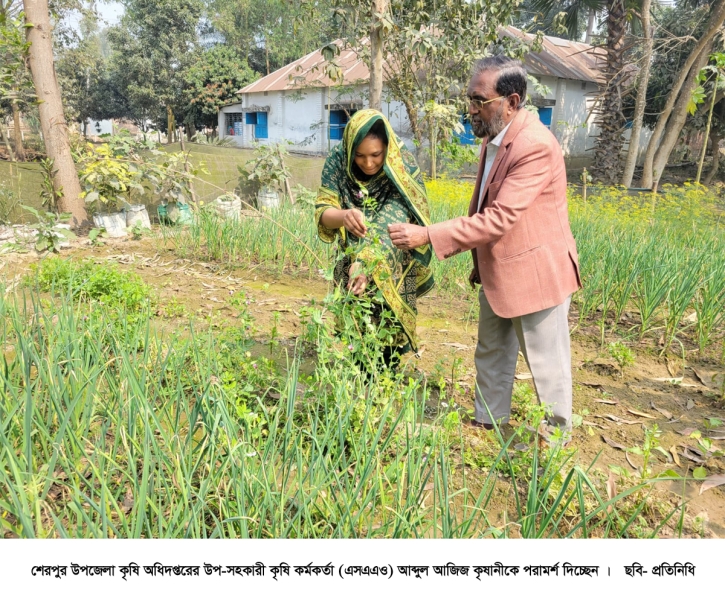 বদলে গেছে গ্রামীণ অর্থনীতির চিত্র